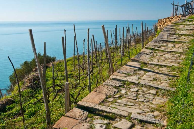 trekking Liguria