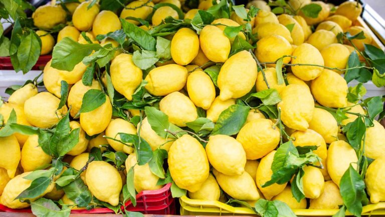 LIGURIA_LIMONI