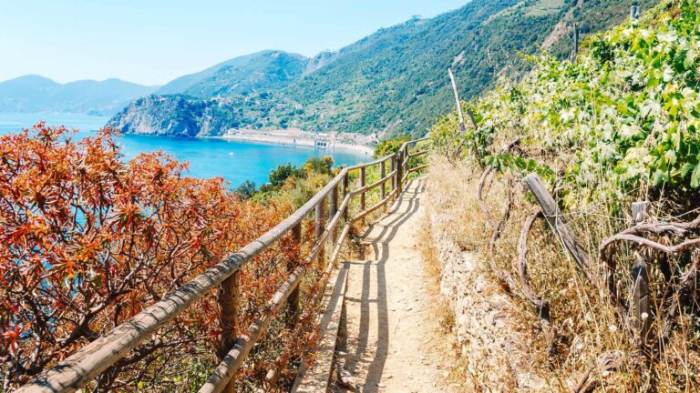 Rio Maggiore Cinque Terre Liguria